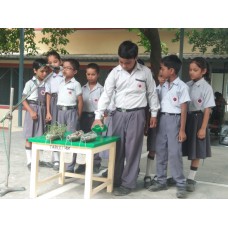 Science Activity